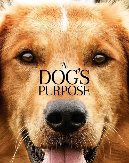 Ver A Dog's Purpose 2017 Película Completa En Español Latino Online