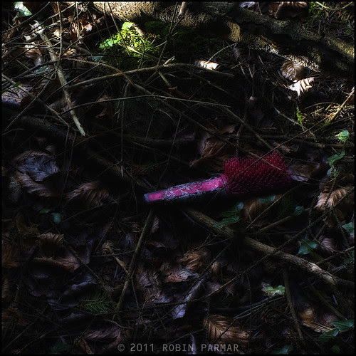 Myths of the New Forest: Detritus #28797