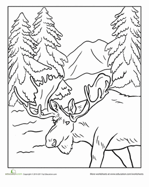 Animal Free Nature Coloring Pages For Adults / We also provide mandalas