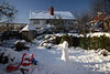 Snowy garden