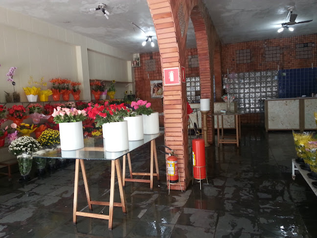 Floricultura Alpendre - São Paulo
