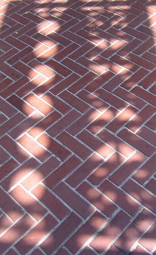 Shadow _ 8875