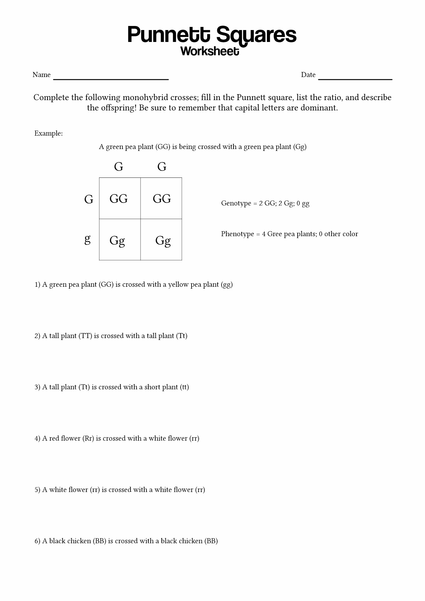 more-punnett-square-practice-problems-youtube