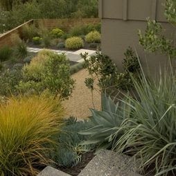 My Beautiful Garden Decors: Landscape Mid Century Modern Garden Design