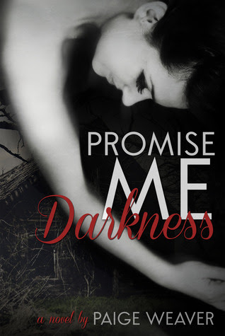 Promise Me Darkness (Promise Me, #1)