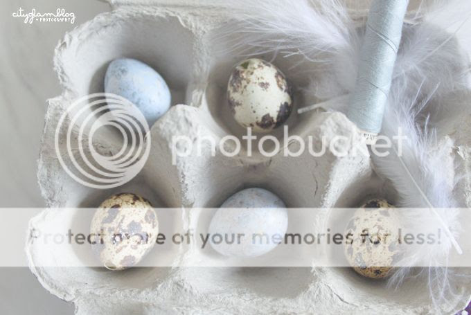 http://i402.photobucket.com/albums/pp103/Sushiina/cityglam/egg1.jpg