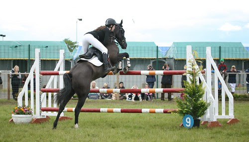 Showjumping