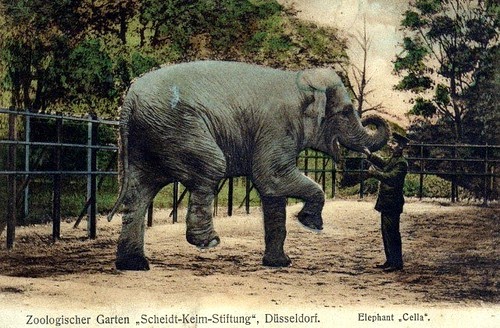 Buckles Blog Duesseldorf Zoo 4