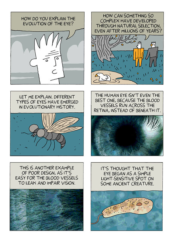 evolution 15