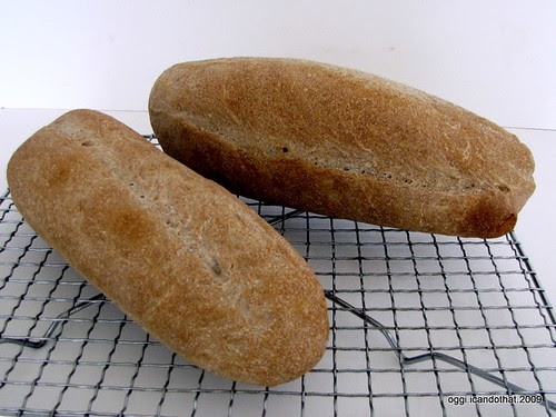 Wild Yeast Bread