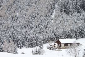 Silvester mit kindern: Hütte im schwarzwald silvester