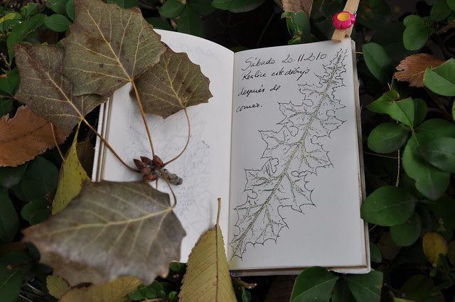 Drawings of autumn.
