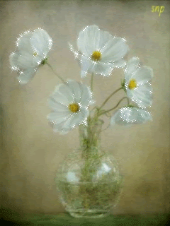 Белые цветы в вазе.