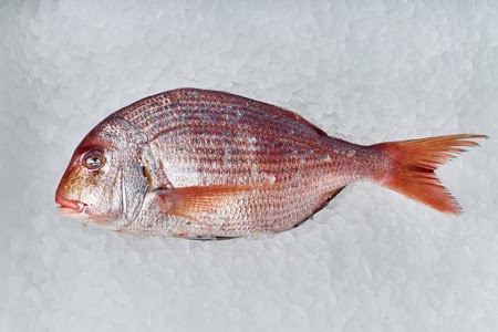 Howtosayidiomatic: A COLD FISH