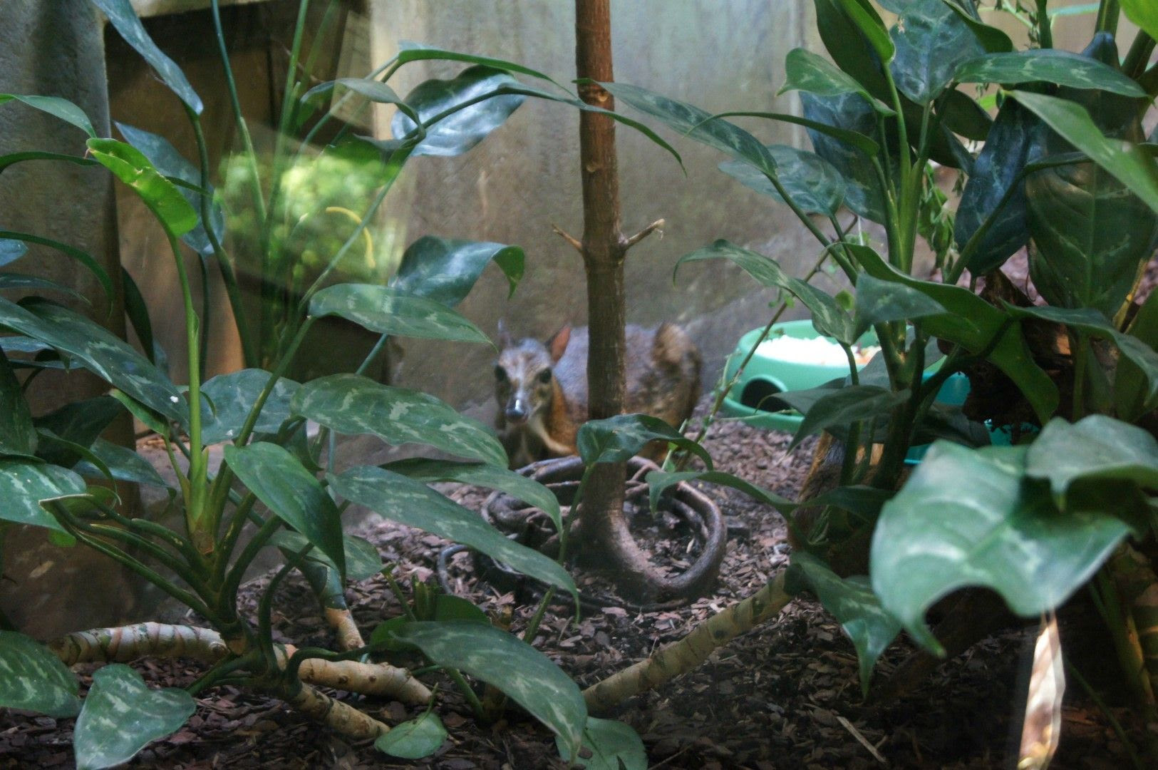photo DSC00487Large.jpg