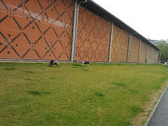 Foto-0014