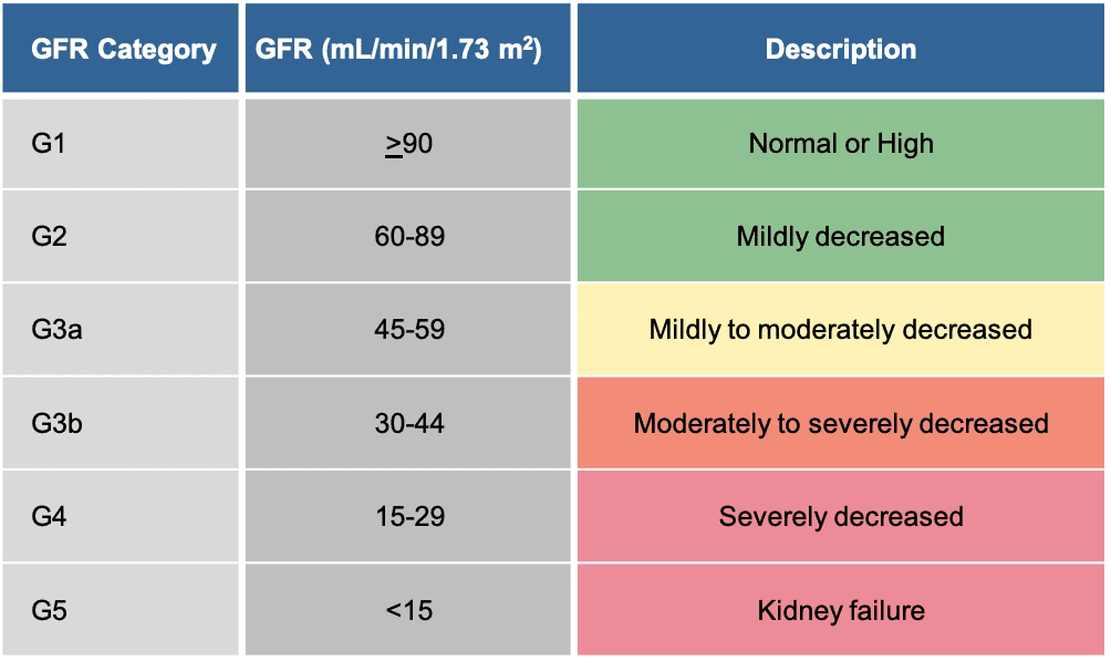 Kidney function Creatinine range