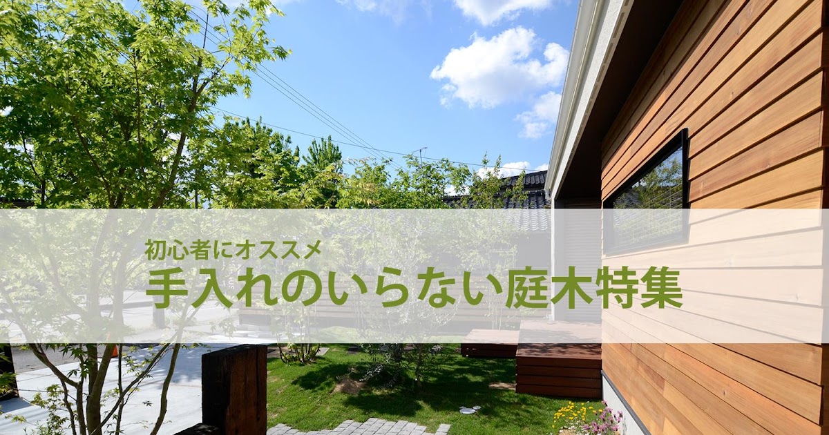 玄関 大きく ならない 木