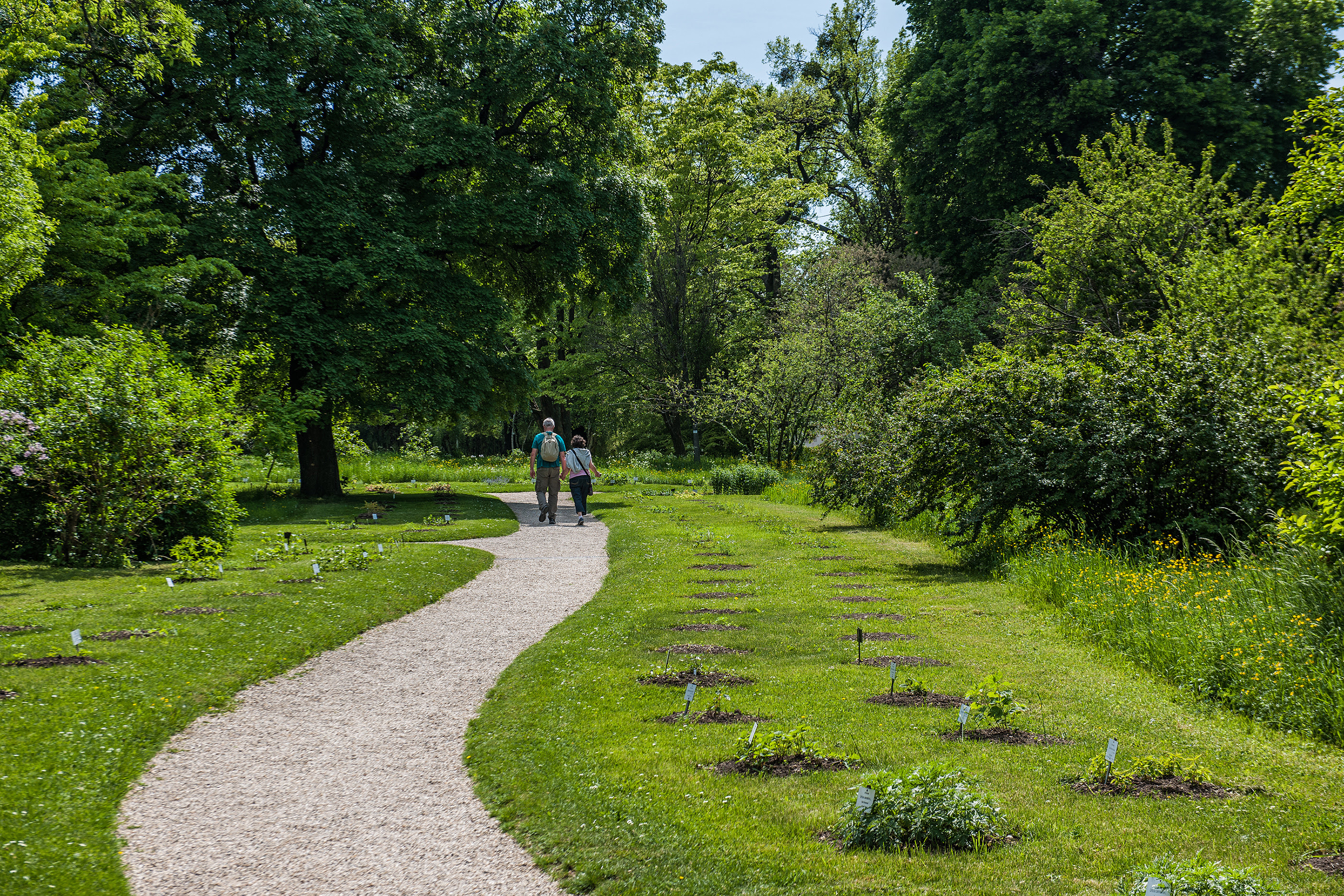 botanischer garten eintritt mariaogtoratle