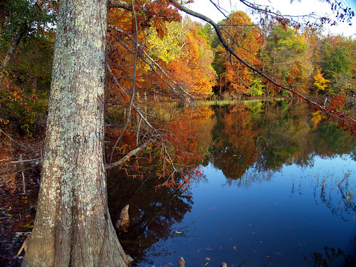 Lake Maumelle