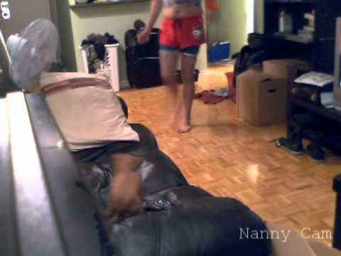 Travel dilemmas: He's floored by maid's pillow protocol - Worldnews.