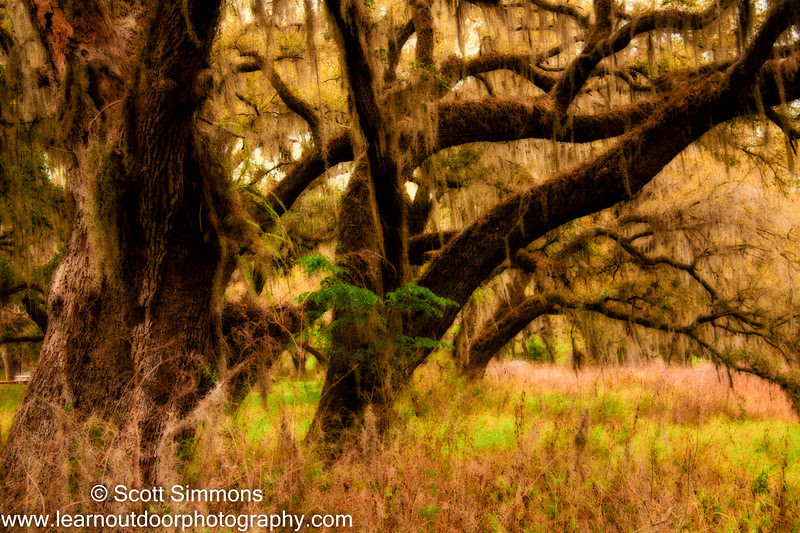 Photo & Video Sharing by SmugMug Photo & Video Sharing by SmugMug