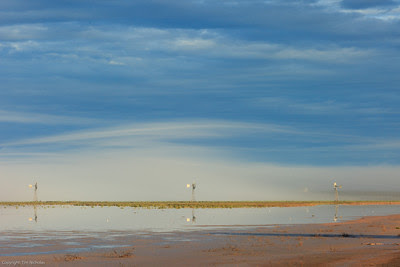 Karoo : Kaalpan Salt Pan Salt Water Windmills Karoo : Kaalpan Salt Pan Salt Water Windmills