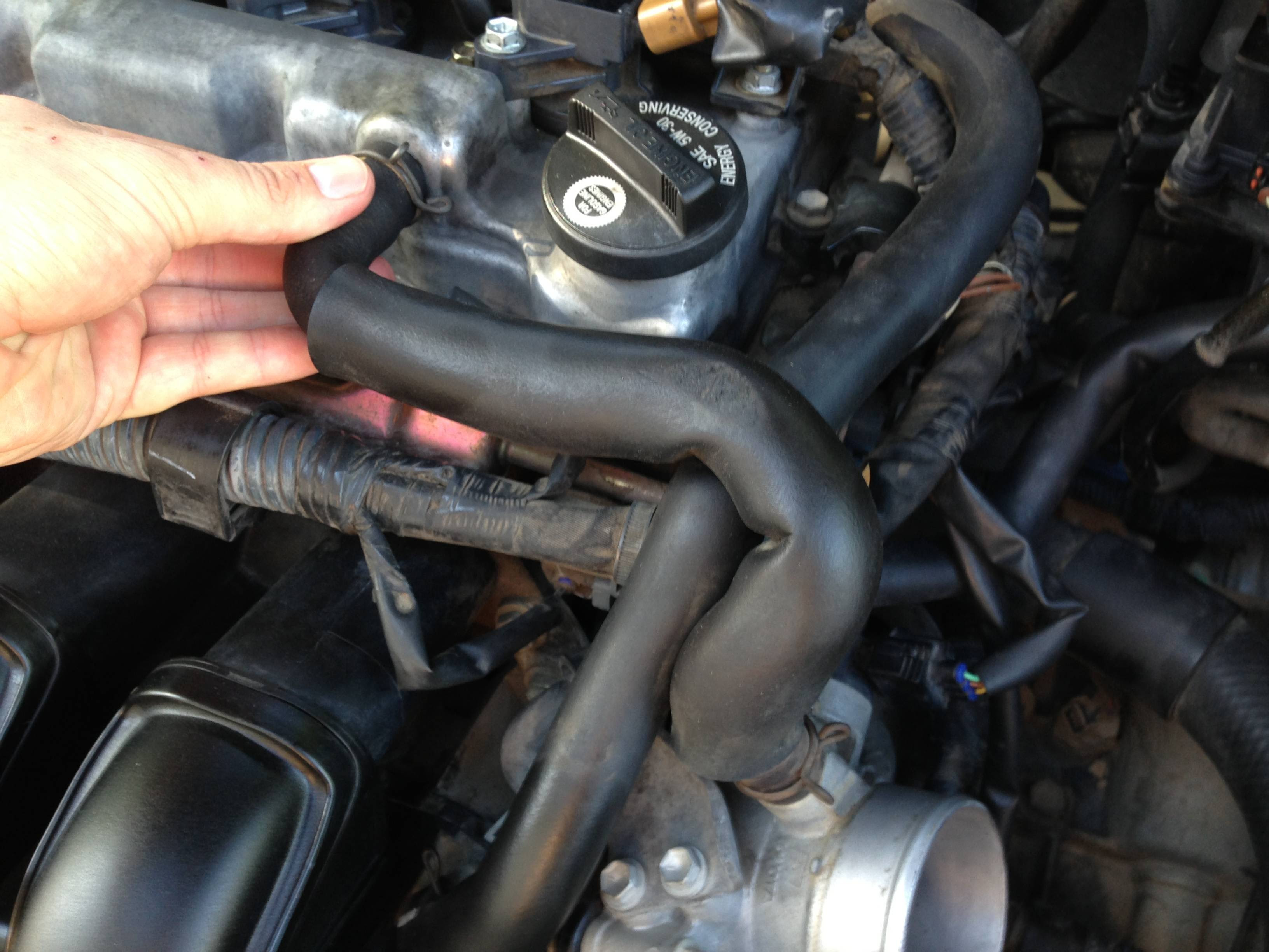 2004 Toyota Matrix Engine Diagram - Wiring Diagram Schemas