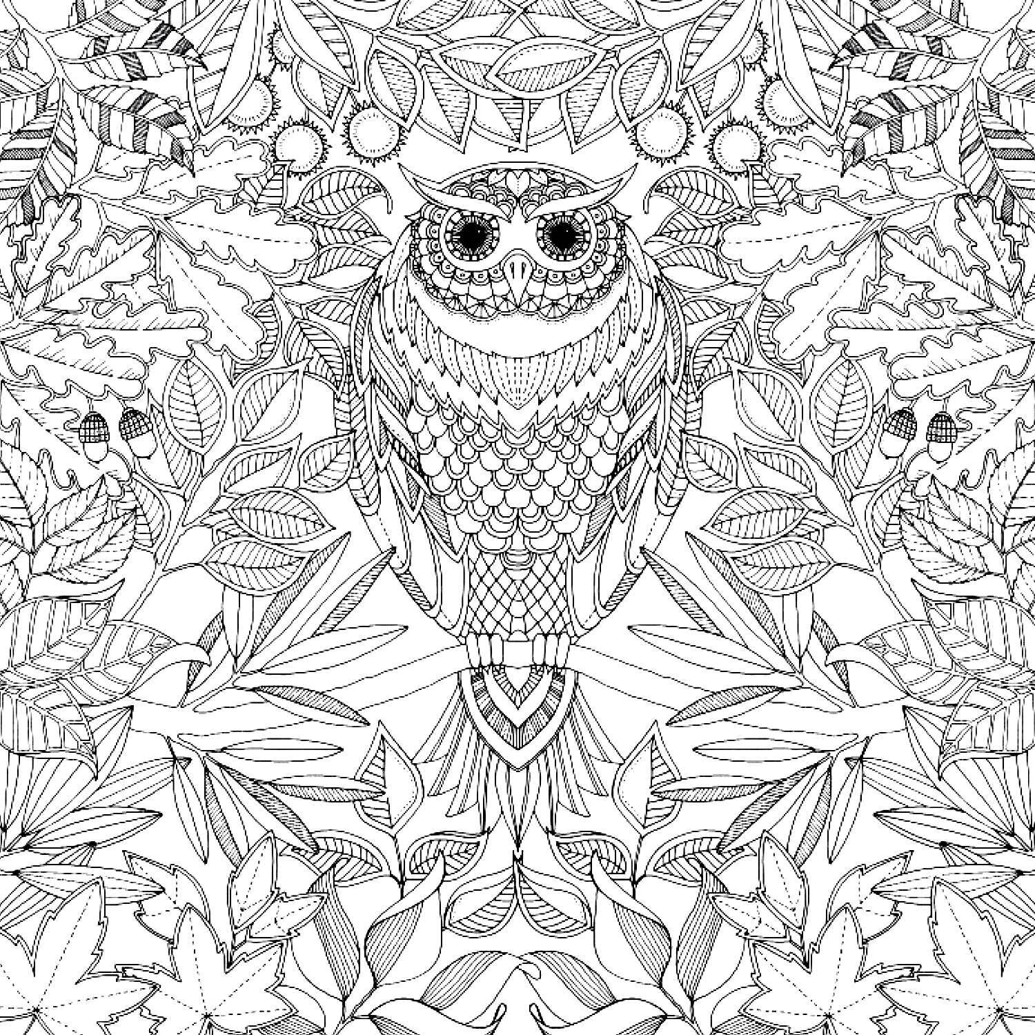 Rouleau De Coloriage Geant Adultes  30000 ++ collections de pages à
