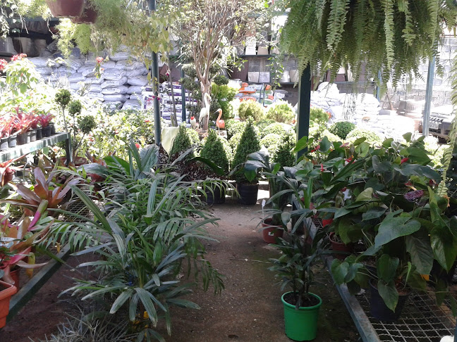 Floricultura Lagoa - Belo Horizonte