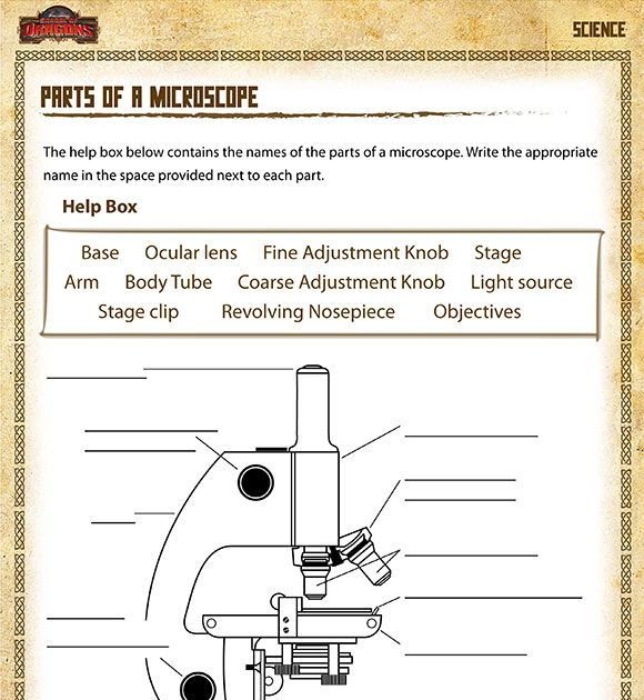 pin-by-cindy-marshall-on-science-middle-school-science-worksheets