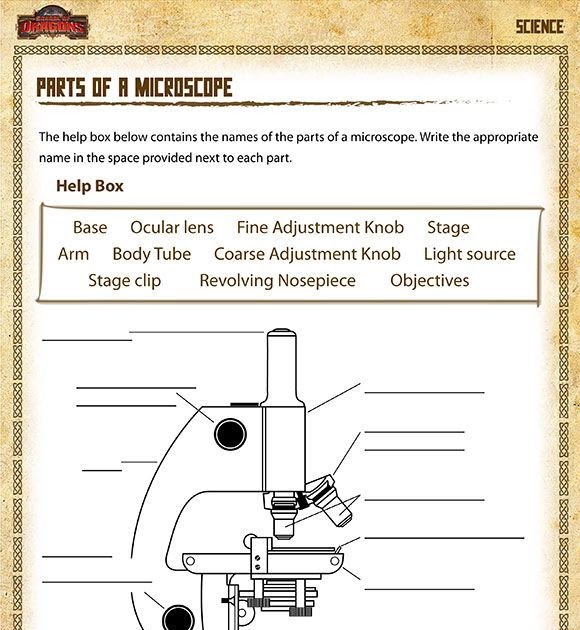 teach-child-how-to-read-free-8th-grade-science-worksheets