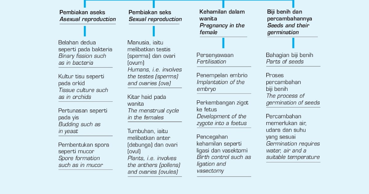 Jawapan Buku Sains Proses Skill Sains Tingkatan 1  mweosmalay