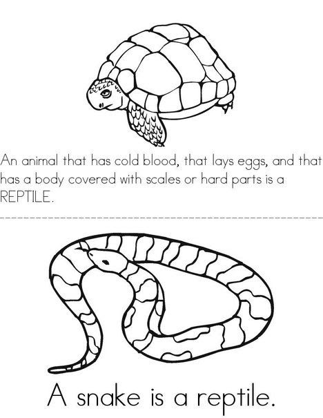 Videos Video Category Bumpy Love Bug Coloring Pages  Antionette Heintz