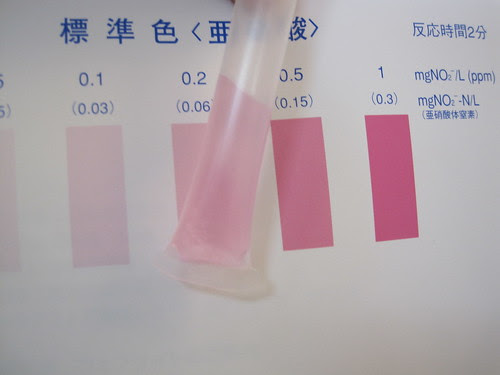 Nitrite-Ion = 0.2. Well water test kit from http://Kyoritsu-lab.co.jp