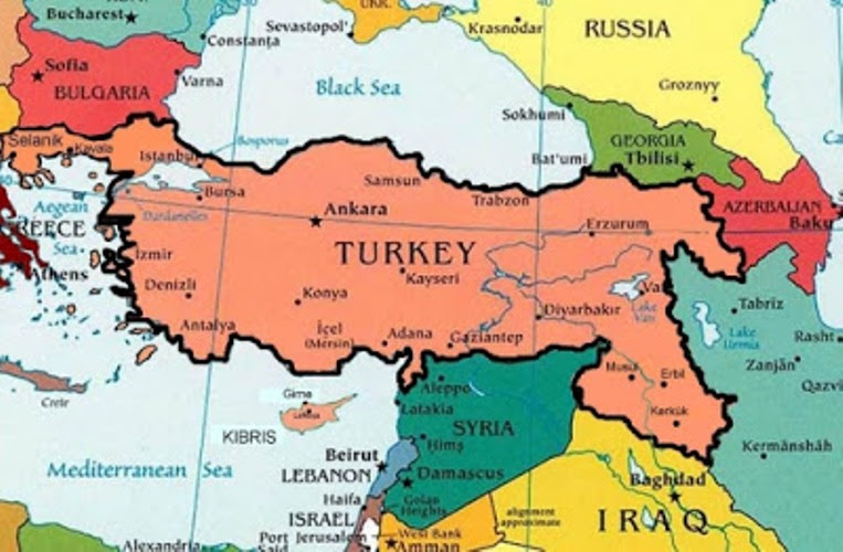 greater_turkey2