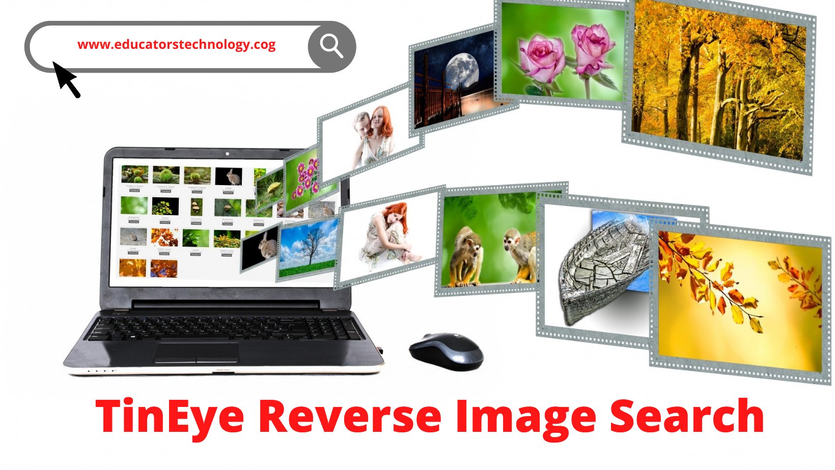 TinEye Reverse Image Search Full Review