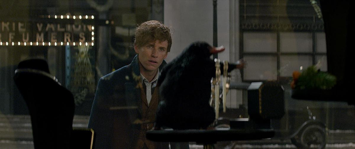 Resultado de imagem para fantastic beasts and where to find them stills