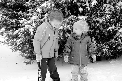 snow13-10
