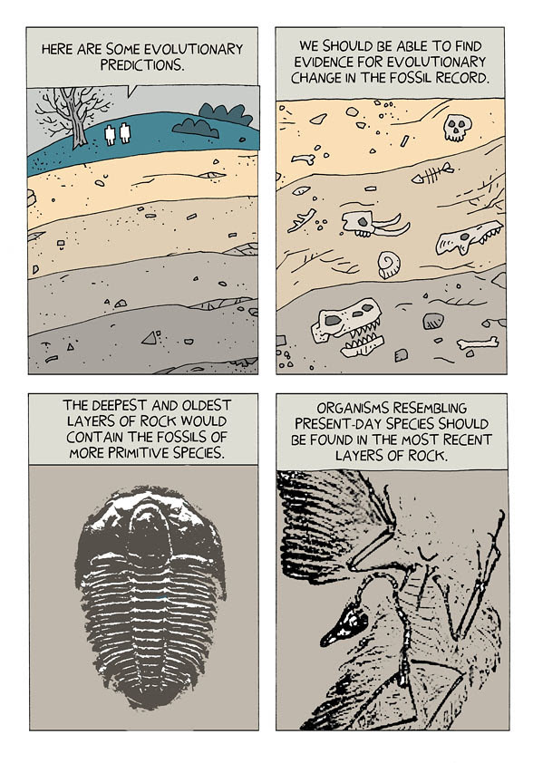 evolution 5