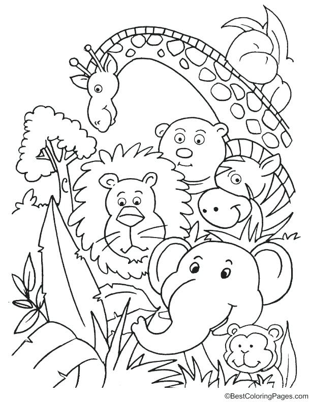 free-coloring-page-of-jungle-65-svg-file-cut-cricut