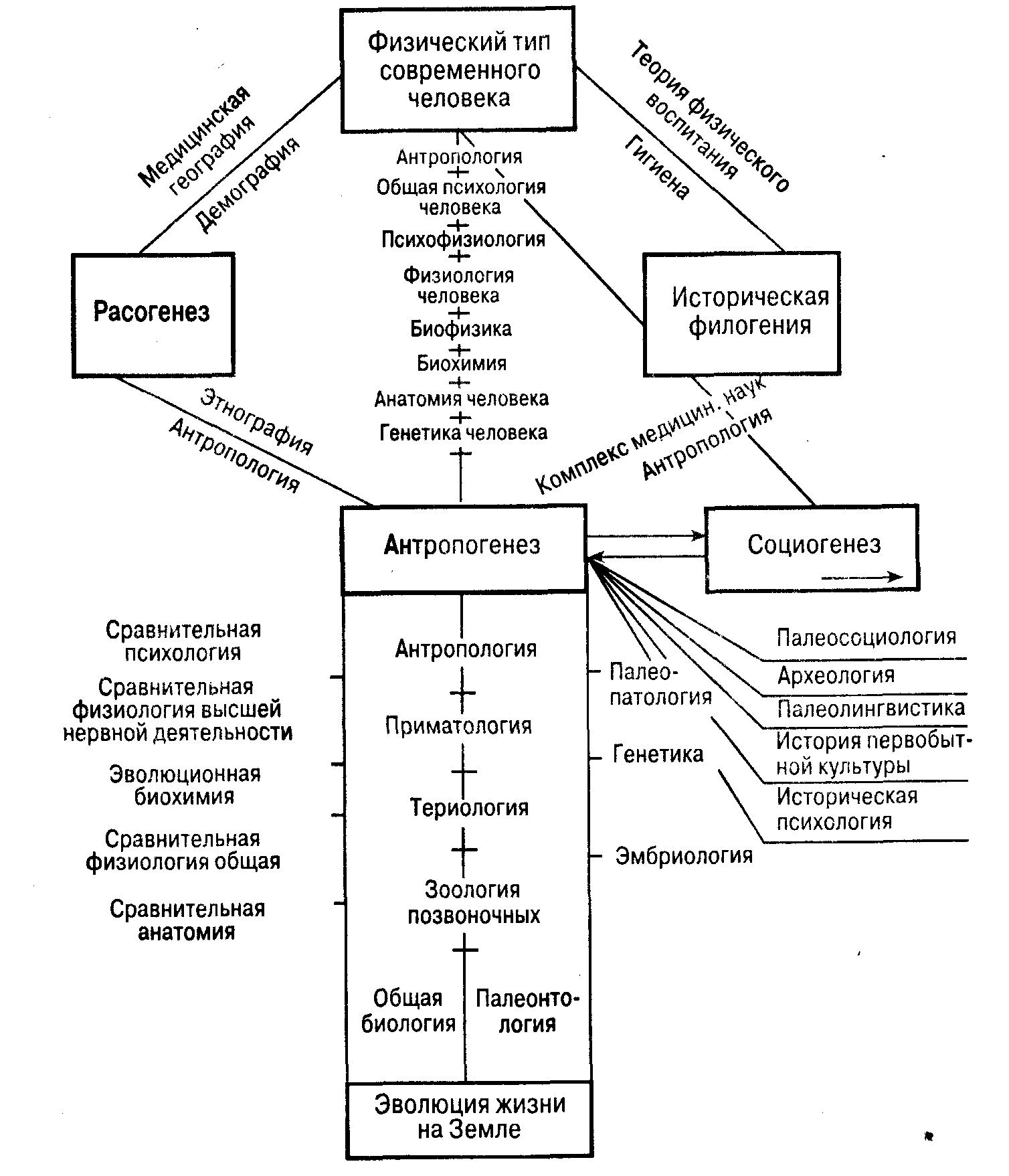 Внутреннее и внешнее окружение проекта