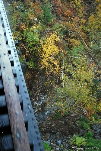 Looking down from the Willey Brook Bridge 
