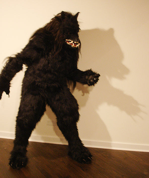 bear shadow