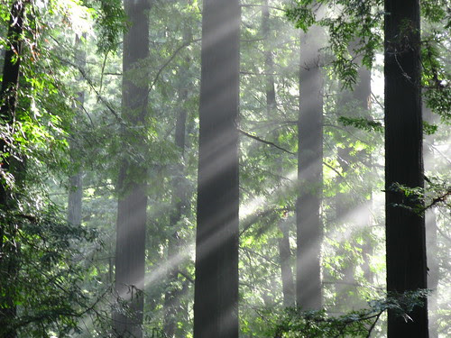One week ago at this very moment I was in Founders Grove looking at this.