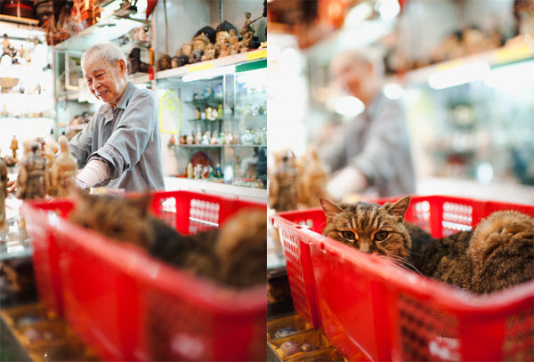 shop owner and his cat