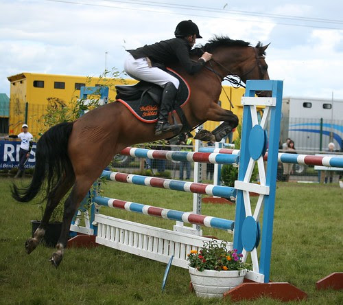 Showjumping