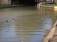Free Image Hosting at www.ImageShack.us