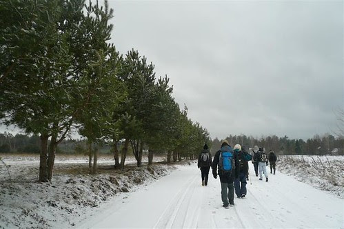 P1290131