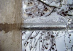 Icy perch